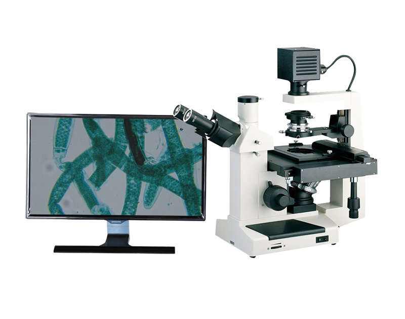 倒置生物顯微鏡WG-DSW280